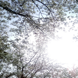 鸣潮涩涩同人❤️网站
